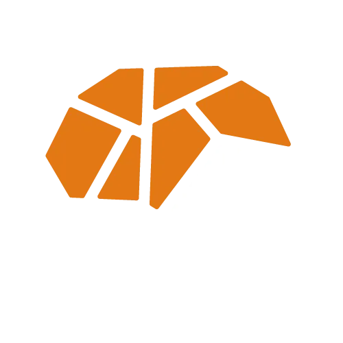Netzdenke
